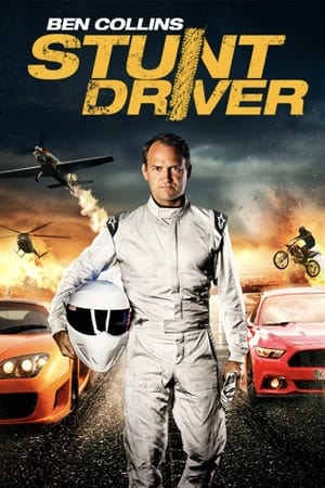 Ben Collins Stunt Driver (2015) Hindi Dual Audio 720p BluRay [1GB]