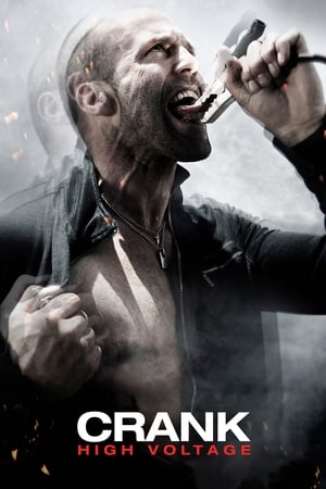 Crank: High Voltage (2009) Hindi Dual Audio 480p BluRay 300MB