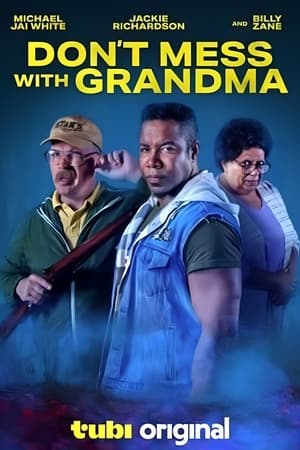 Don't Mess with Grandma (2024) WEBRIP Hindi (MULTI AUDIO) 720p - 480p - 1080p