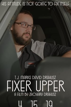 Fixer Upper (2019) Hindi Dual Audio 480p BluRay 300MB